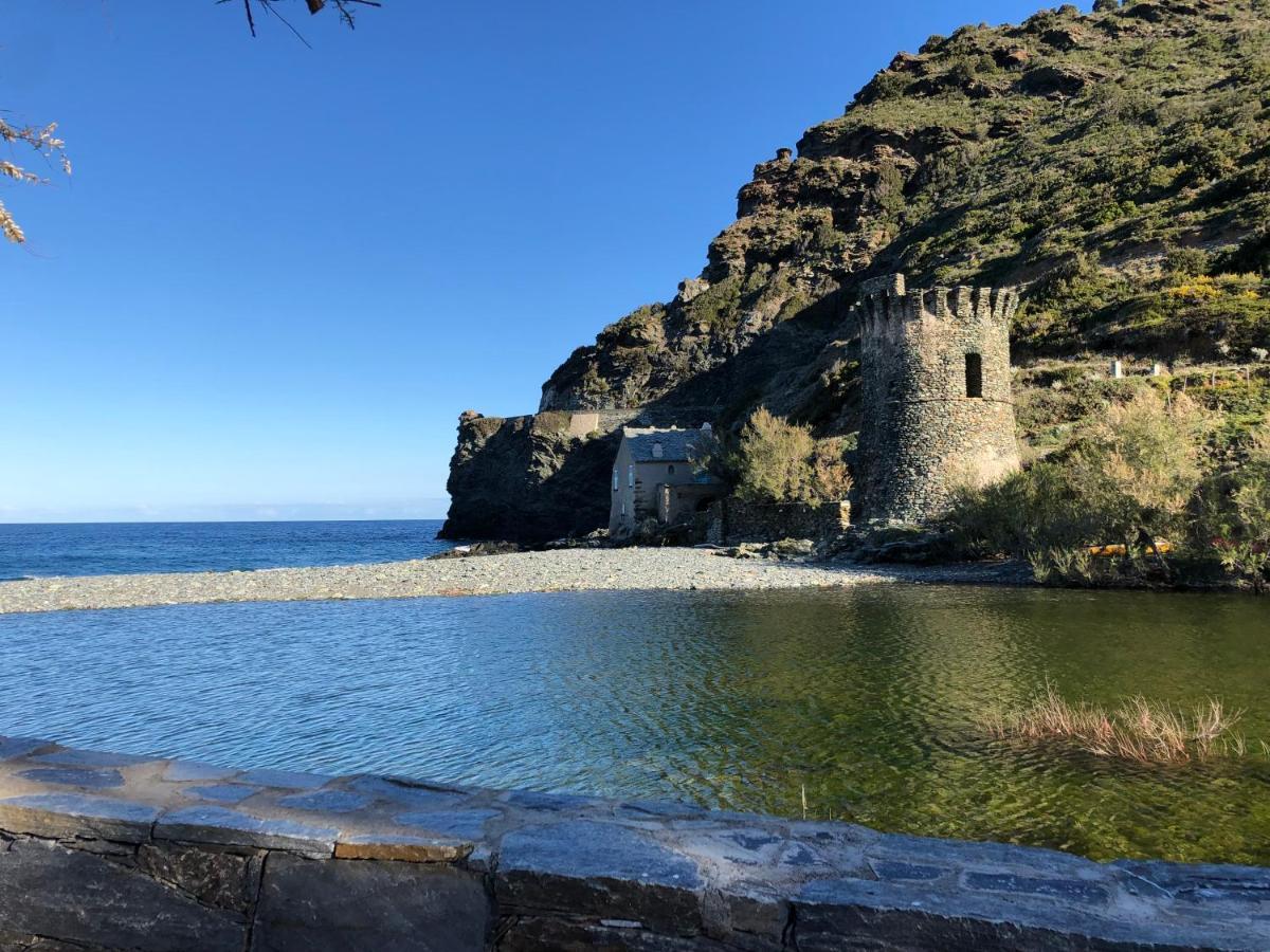 Cap Corse - Grande Maison Au Bord De Mer - Pmr Grillasca 외부 사진