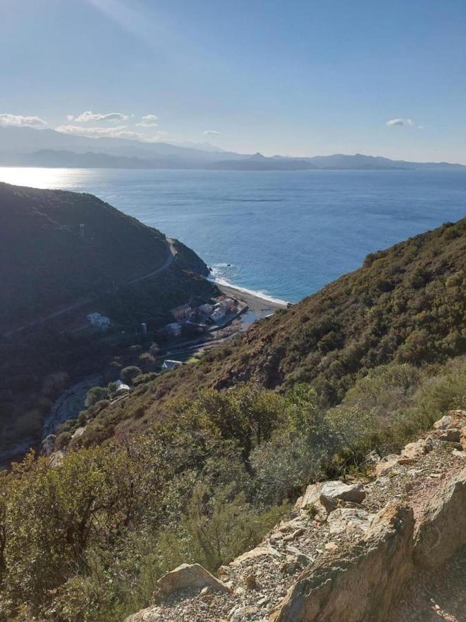 Cap Corse - Grande Maison Au Bord De Mer - Pmr Grillasca 외부 사진